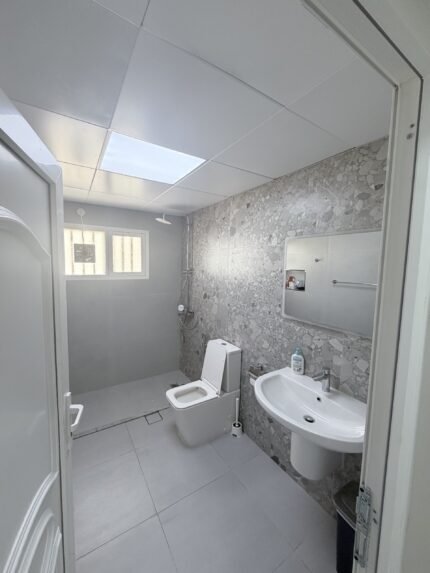 Renovated bathroom with terrazzo tile, new sink and mirror in Al Ain villa